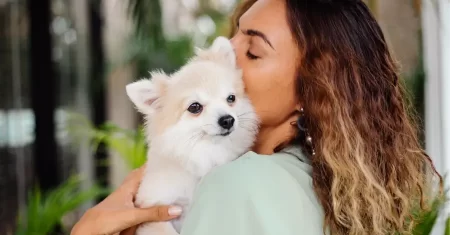 Comissão da Câmara aprova guarda de animal de estimação às vítimas de violência doméstica