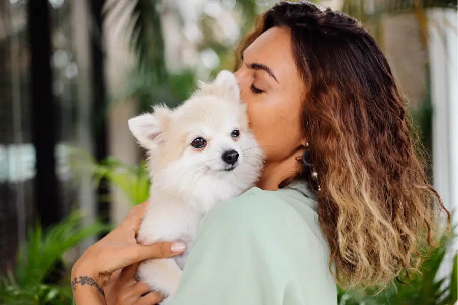 guarda de animal de estimação