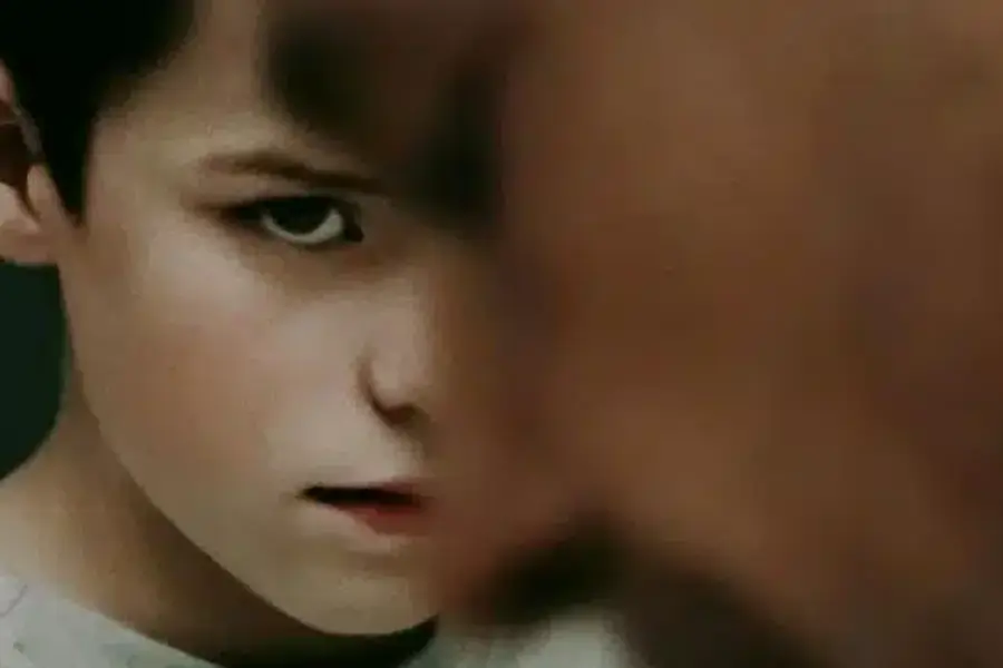 agressividade infantil